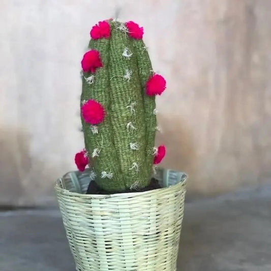 Cactus - medium green/fuchsia - Art