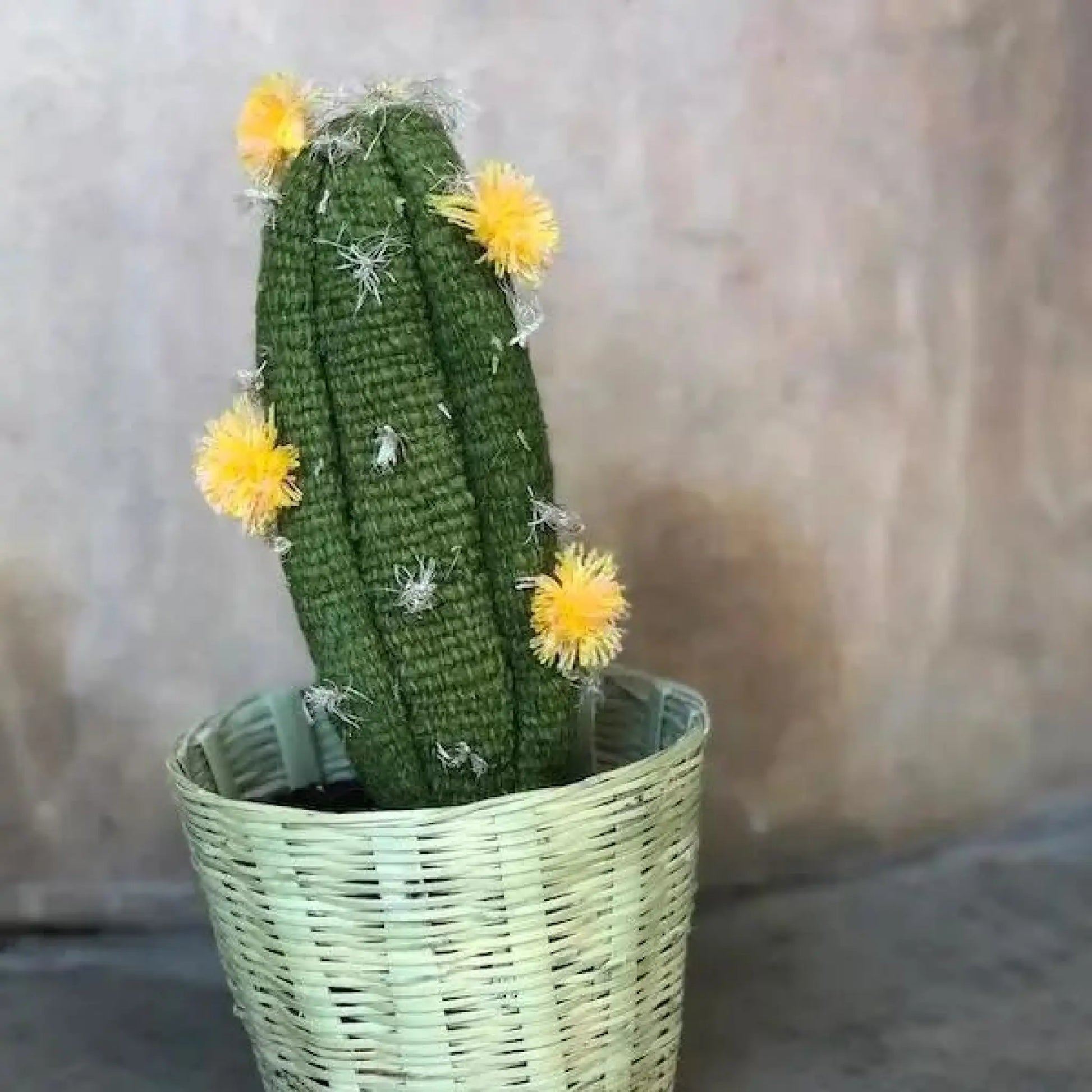 Cactus medium green/yellow - Art