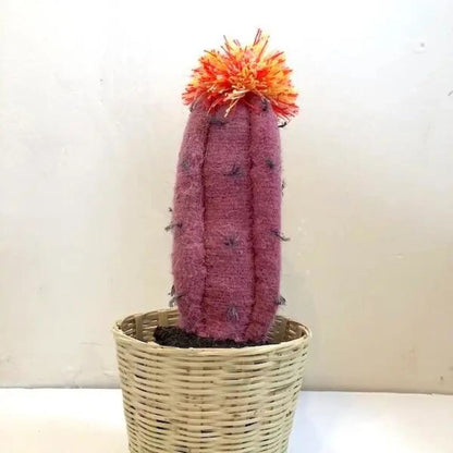 Cactus - medium pink/orange - Art
