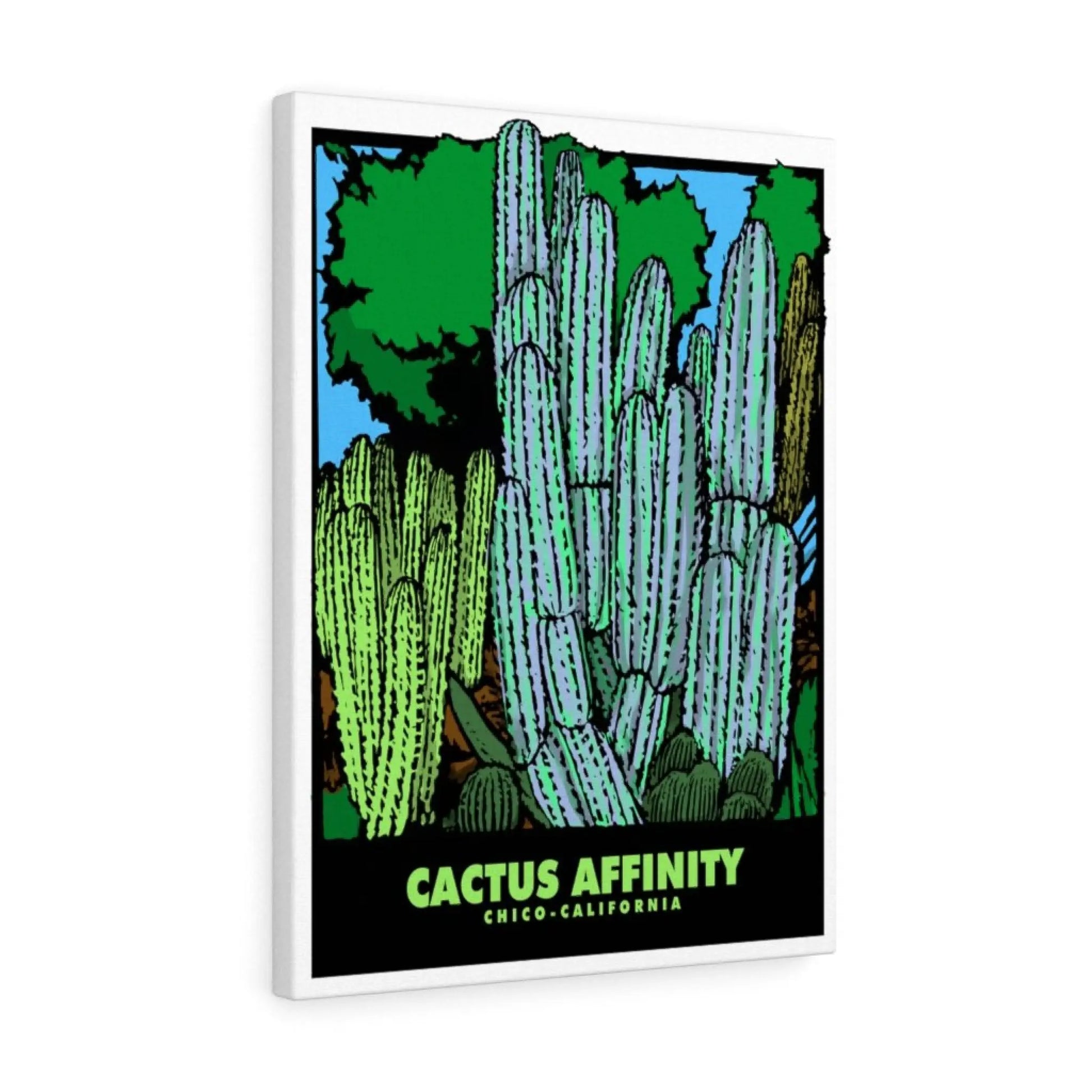 Canvas Gallery Wrap - Cactus Affinity Chico