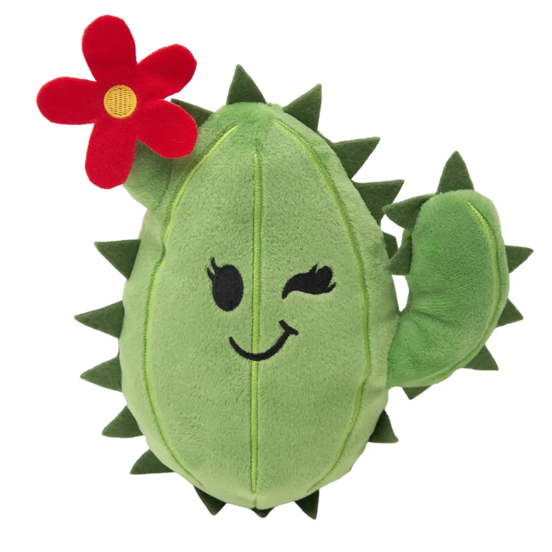 Cactus dog toy shop with sad cactus inside