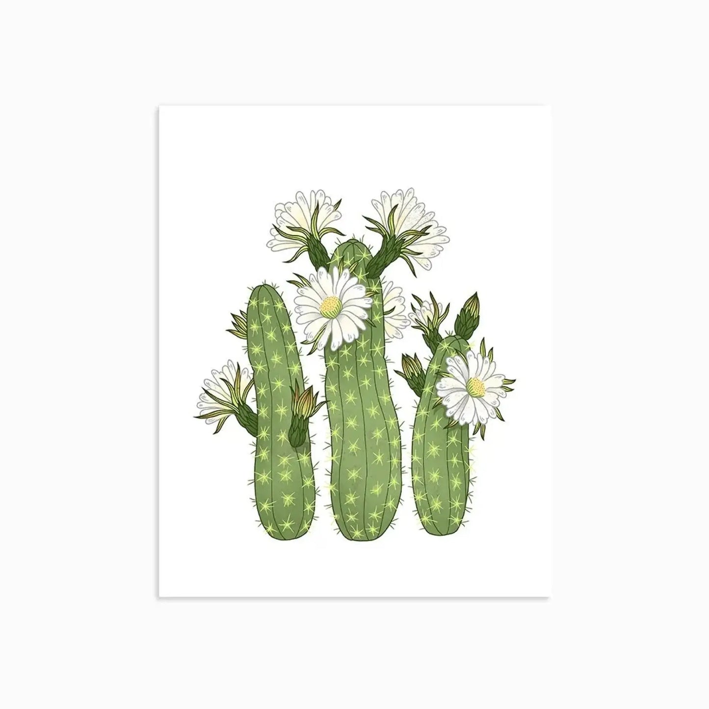 Columnar Cactus Art Print - 8” x 10”