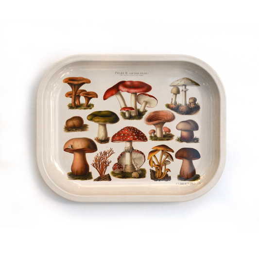 Metal Tan Mushroom Ritual Tray / Vintage Fungi Print