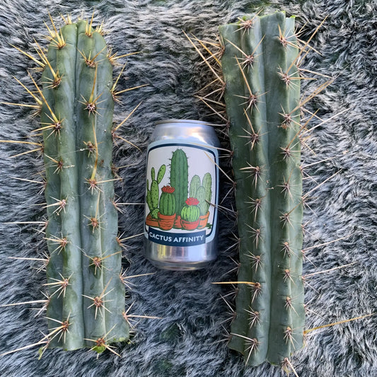 KK338 - 10” tip cut - live cactus plant