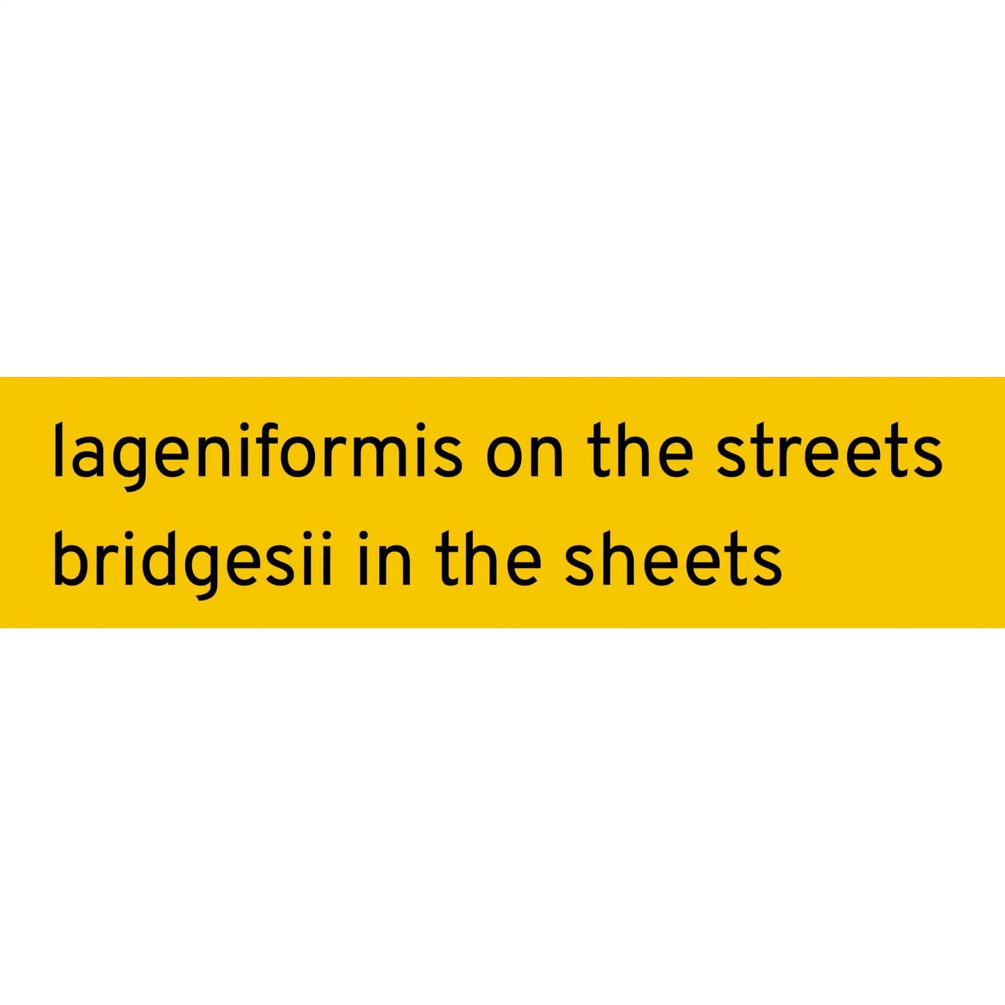 Lageniformis on the Streets Sticker