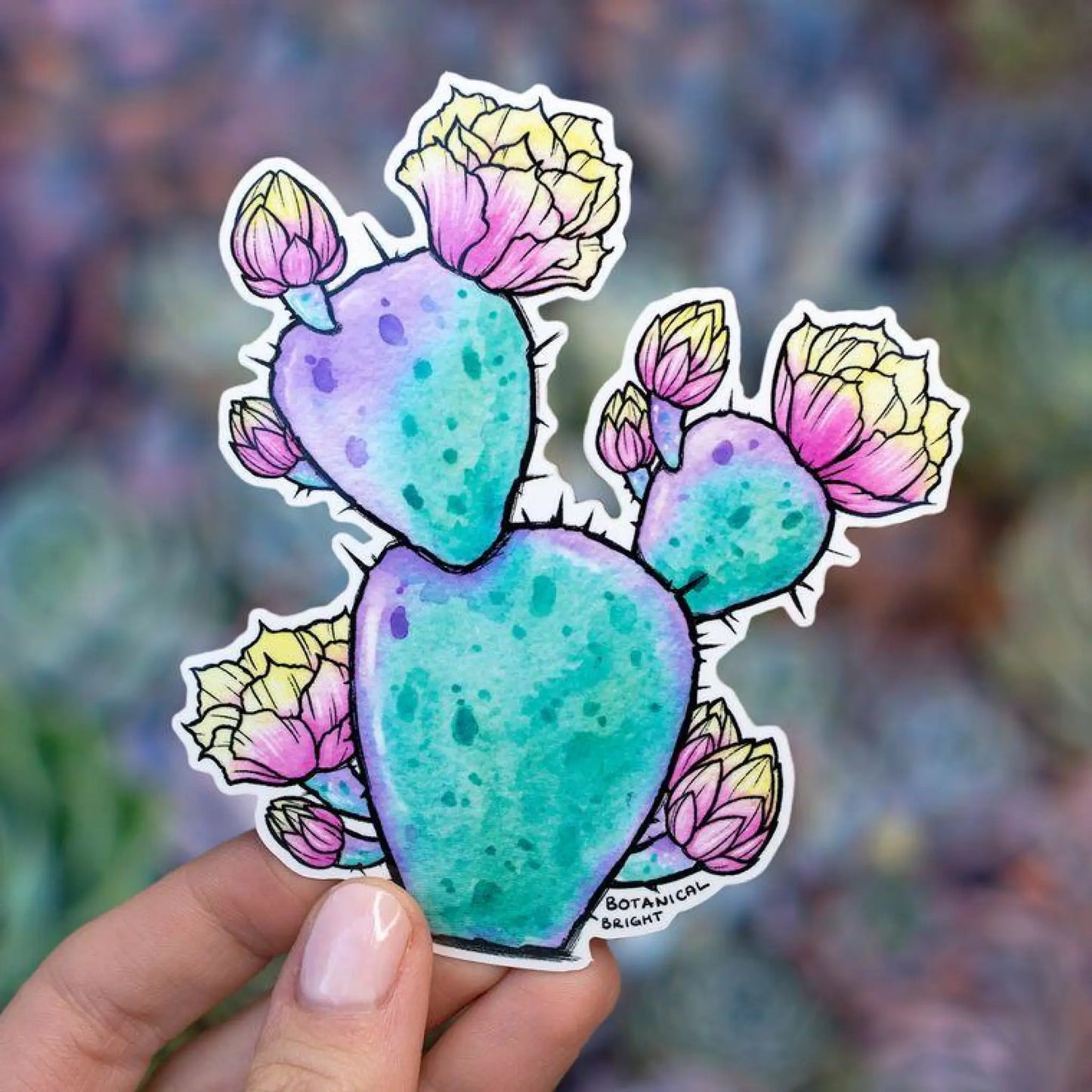 Opuntia Blooming Cactus Vinyl Sticker