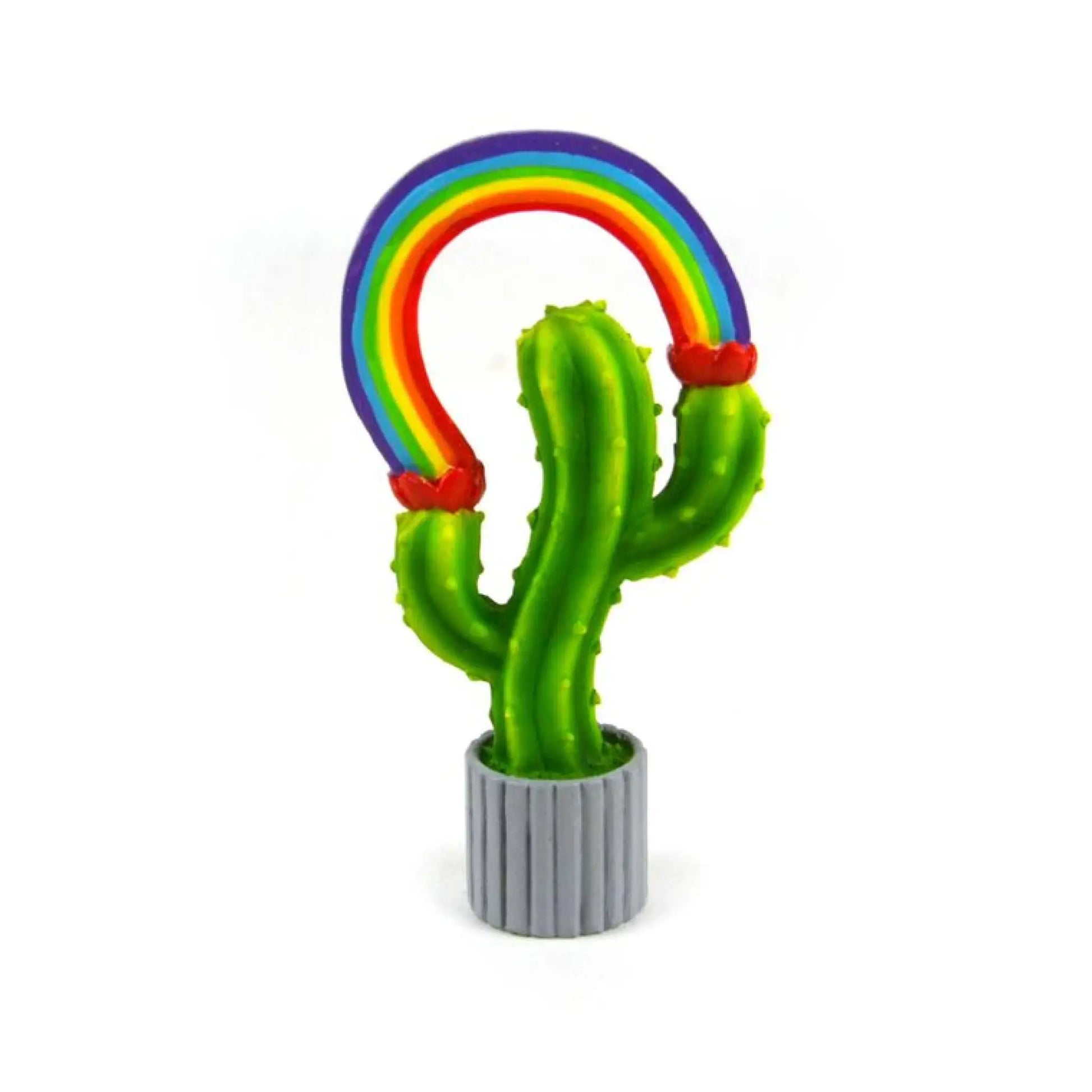 Rainbow Cactus