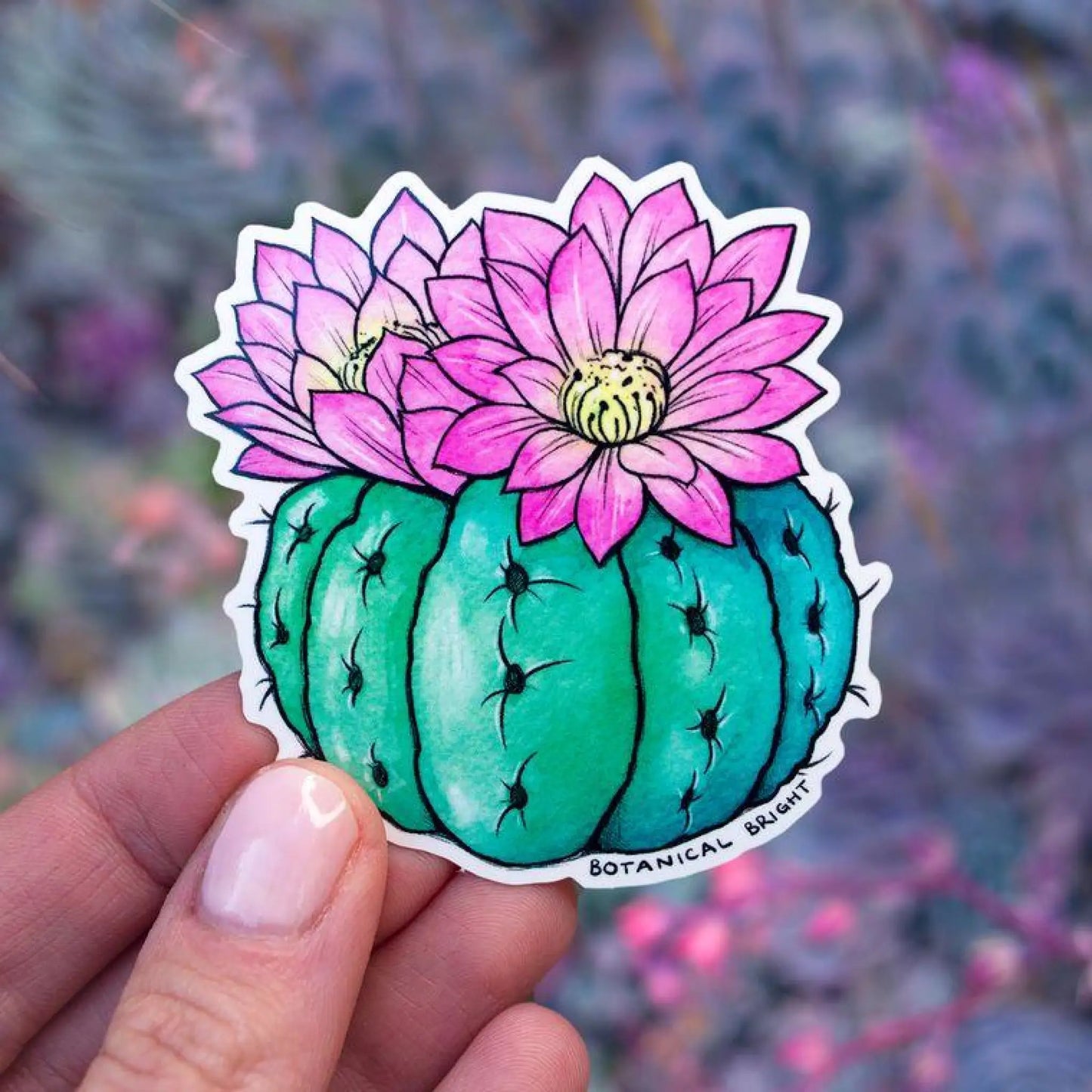 Round Blooming Cactus Vinyl Sticker