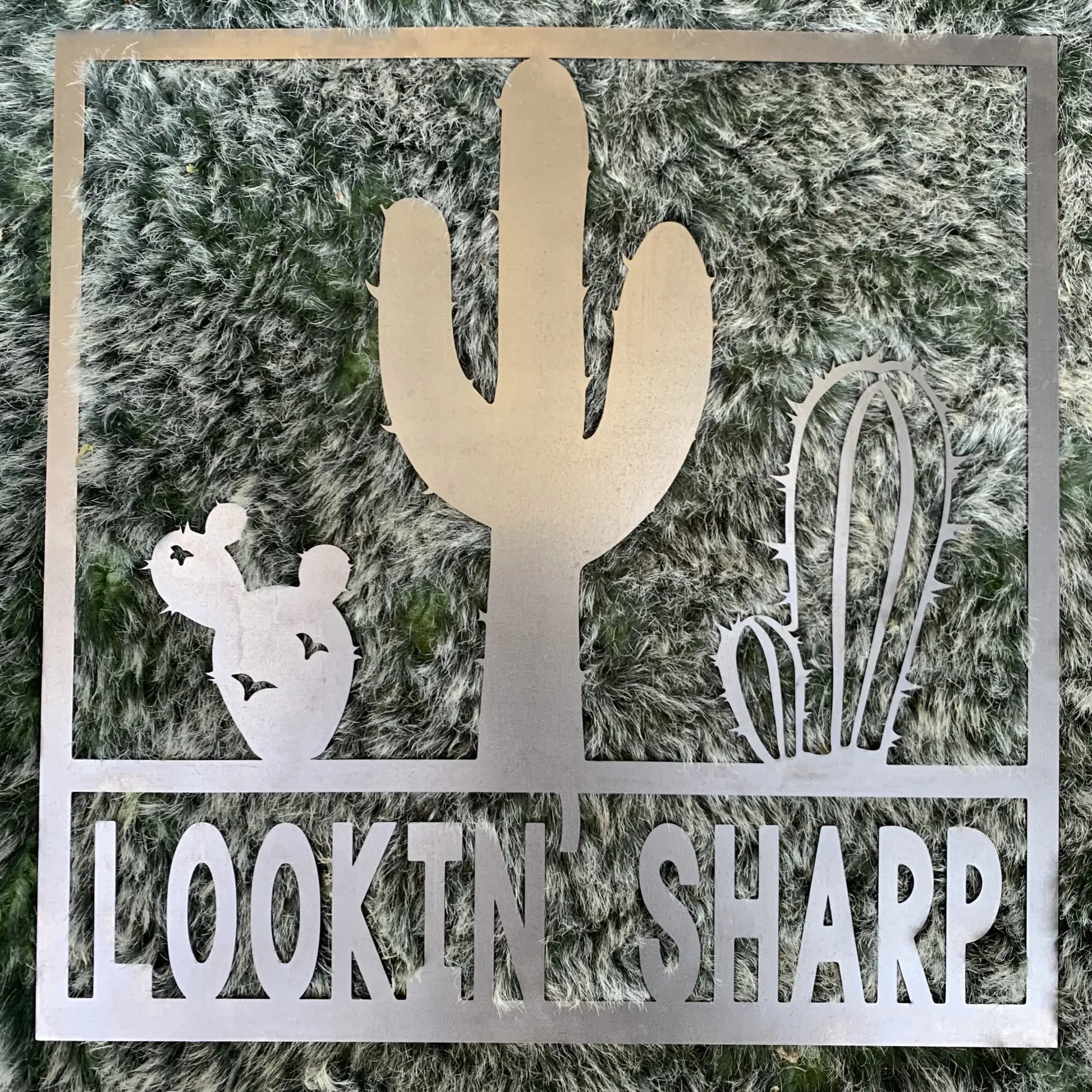 Sharp Metal Signs - Lookin’ - Poster