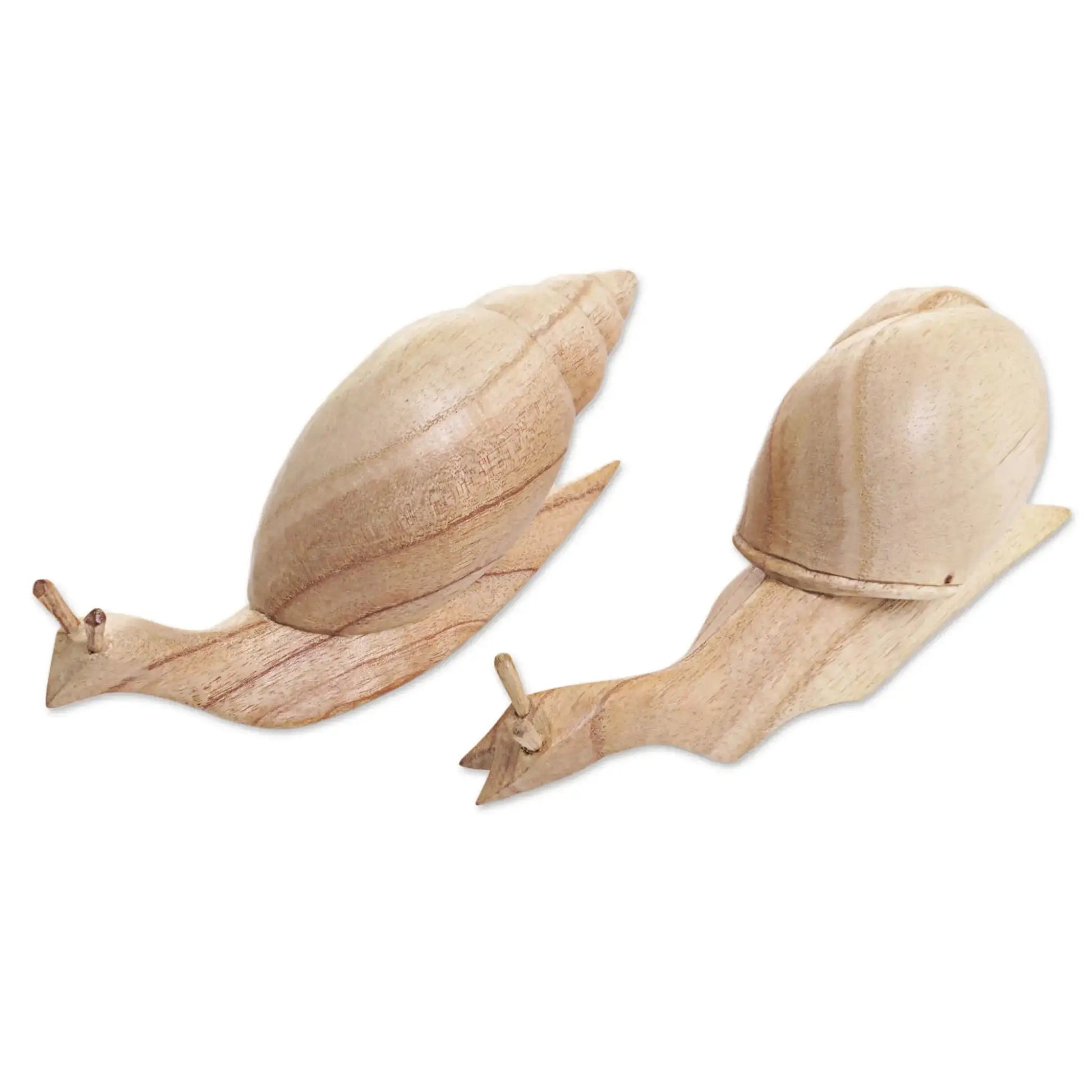 Shells Aside - Natural Jempinis Wood Pair of Snails Table