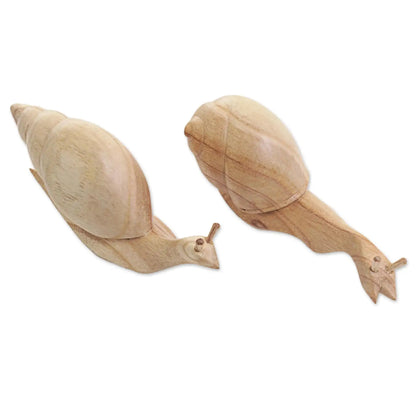 Shells Aside - Natural Jempinis Wood Pair of Snails Table