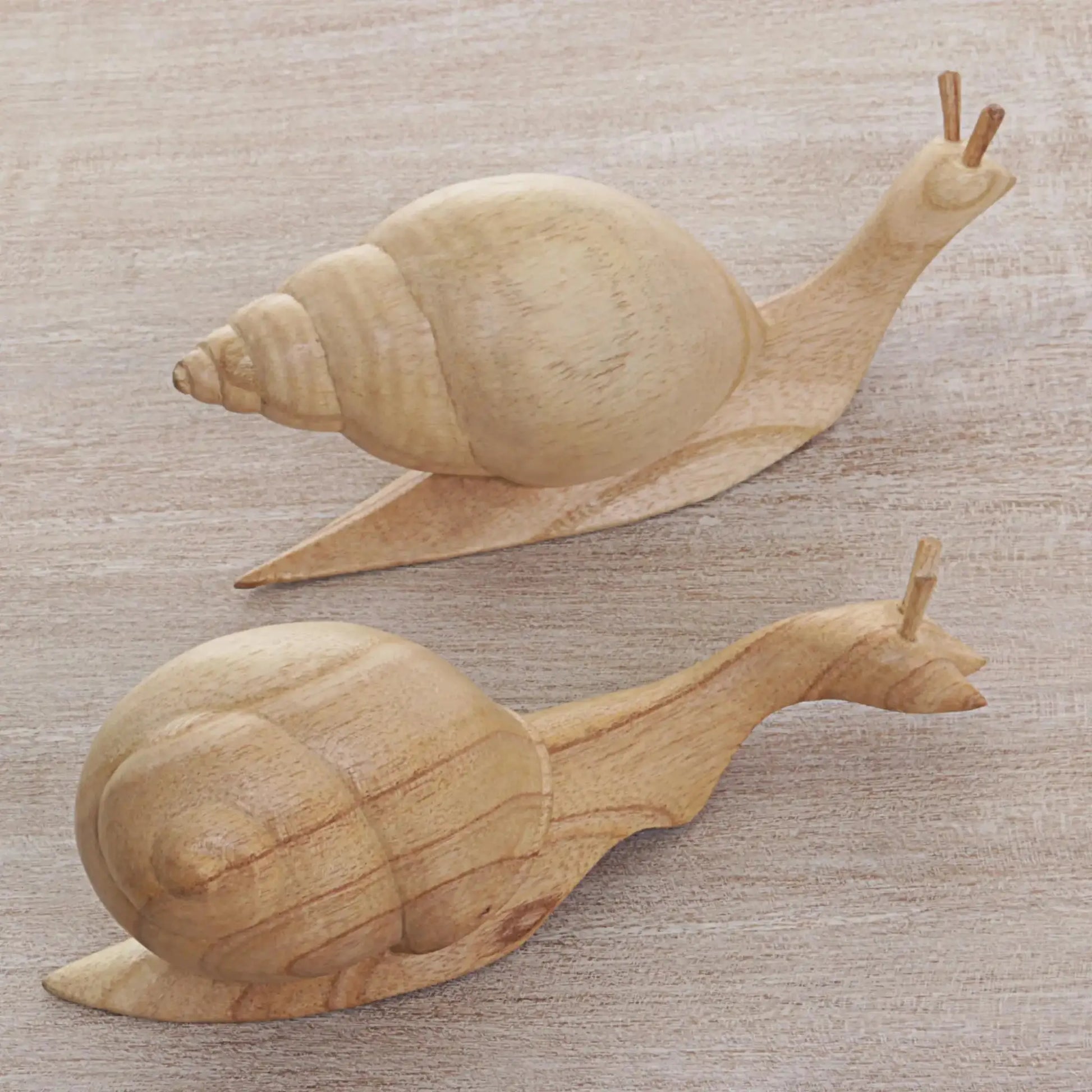 Shells Aside - Natural Jempinis Wood Pair of Snails Table