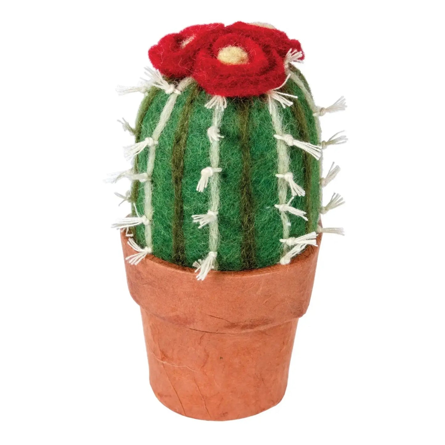 Small Barrel Cactus - Art