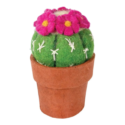 Small Pincushion Cactus - Art