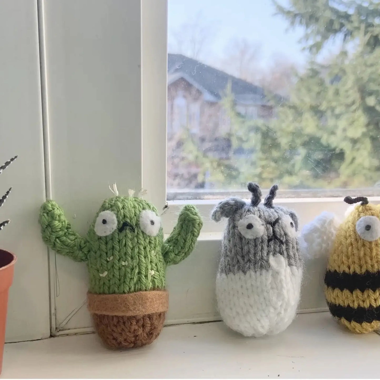 Worry Cactus Pet - Art