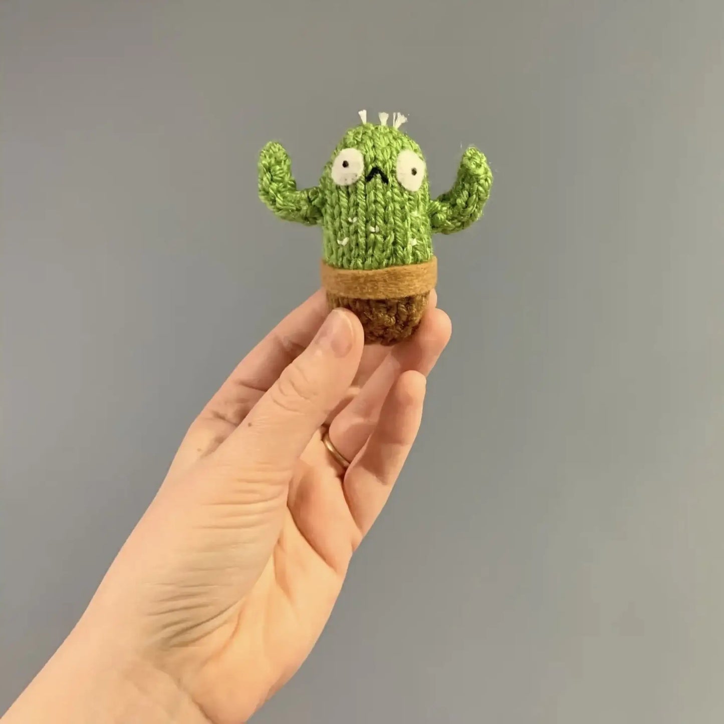 Worry Cactus Pet - Art